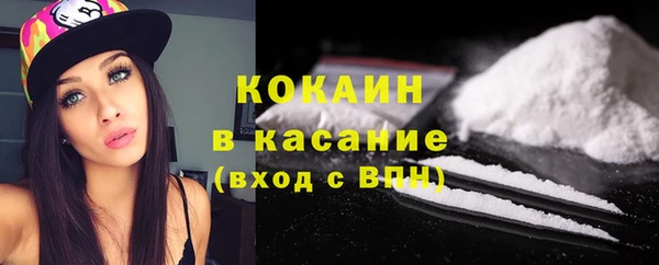 ешки Аркадак