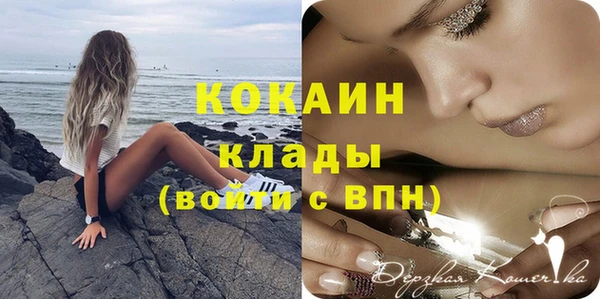 ешки Аркадак
