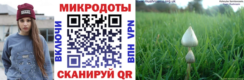 Псилоцибиновые грибы прущие грибы  Багратионовск 